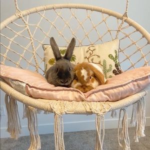 Meet your Posher, Ruby